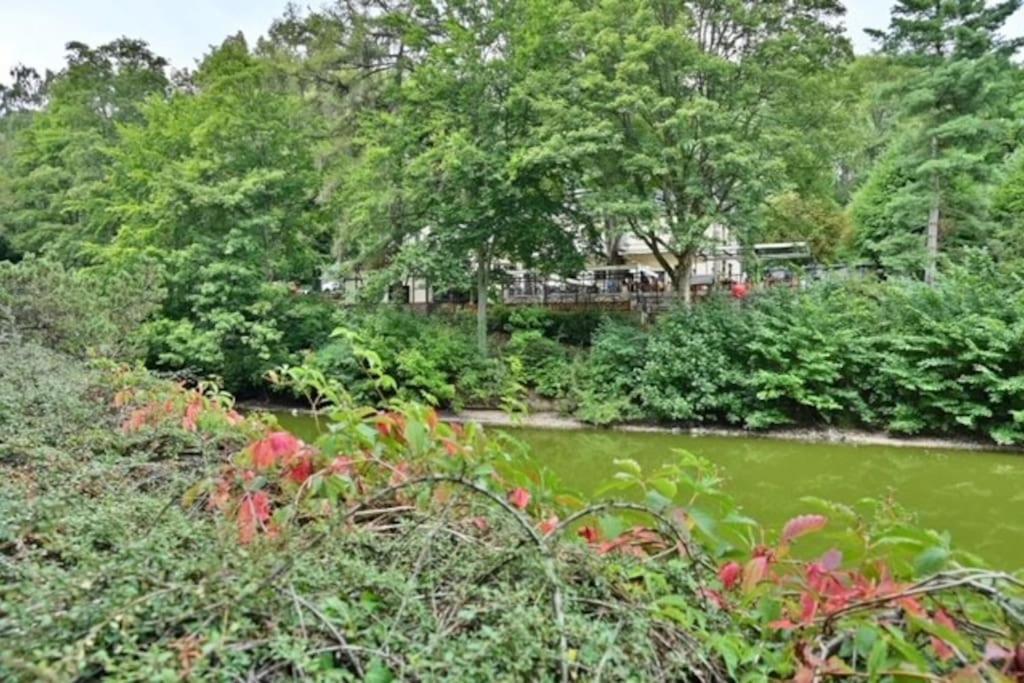 Krizikova 4 Apartamento Karlovy Vary